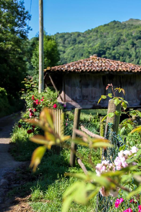 Villa Casa Clarita à Caño Extérieur photo